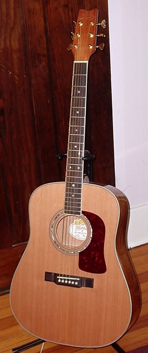 washburn d27sc