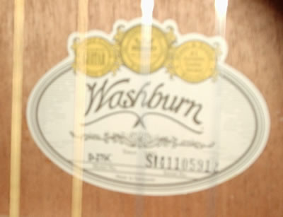 washburn d27sc